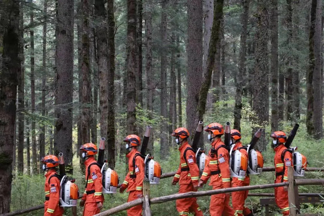 警钟长鸣！四川各地深入开展“3·30”森林草原防灭火警示日系列宣传教育活动